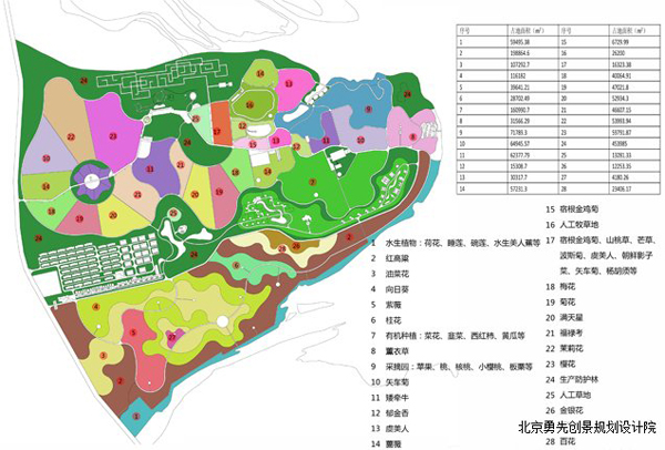 我们智造江北最大花海实景基地—日照花仙子生态文化创意休闲基地总